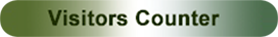 visitor-counter